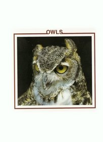 OWLS: THE BIRD DISCOVERY LIBRARY