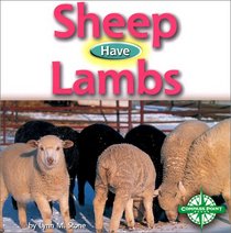 Sheep Have Lambs (Animals and Their Young)