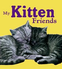 My Kitten Friends