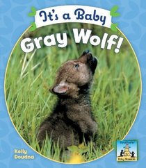 It's a Baby Gray Wolf! (Baby Mammals)
