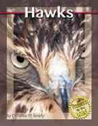 Hawks (Predators in the Wild)