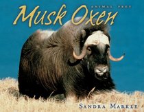 Musk Oxen (Animal Prey)