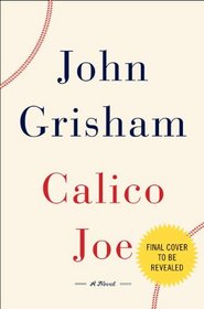 Calico Joe (Random House Large Print)