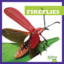 Fireflies (Insect World)