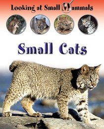 Small Cats -- 2004 publication