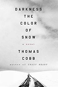 Darkness the Color of Snow: A Novel