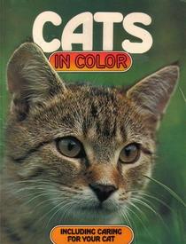 Cats in Color