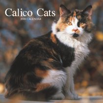 Calico Cats 2008 Square Wall Calendar (German, French, Spanish and English Edition)