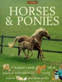 Horses and Ponies (Out and About Activity Books)