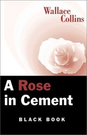 A Rose in Cement