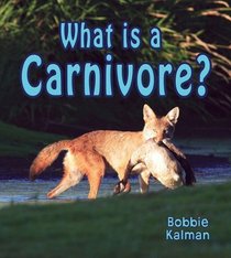 What Is a Carnivore? (Big Science Ideas)