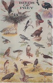 Birds of Prey (Posters)