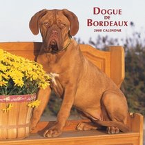 Dogue de Bordeaux 2008 Square Wall Calendar (German, French, Spanish and English Edition)