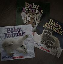 Baby Animals At Night, Baby Animals in the Jungle, Baby Animals, Pets,Baby Animals in the snow (Baby Animals)