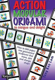 Action Modular Origami: To intrigue and delight