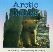 Arctic Babies (Books for Young Readers)