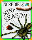Incredible Words  Pictures: Mini-Beasts