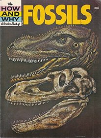 Fossils (How & Why)