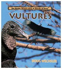 Vultures (Really Wild Life of Birds of Prey)