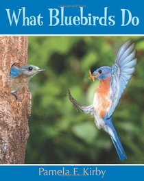 What Bluebirds Do
