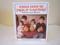 From seed to jack-o'-lantern