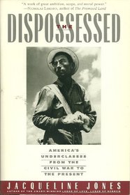 The Dispossessed: America's Underclasses from the Civil War to the Present