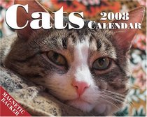 Cats: 2008 Mini Day-to-Day Calendar