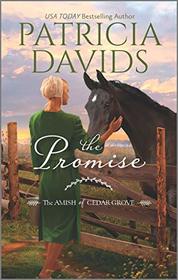The Promise (Amish of Cedar Grove, Bk 3)