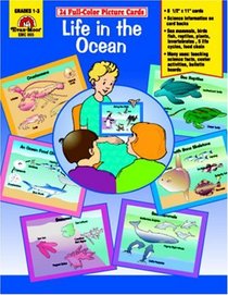 Life in the Ocean /Picture Cards (24 Cards) (Life in the Ocean)
