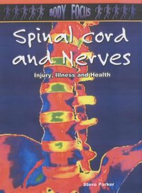 Nerves and Spinal Cord (Body Focus)