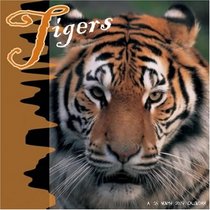 Tigers 2007 Wall Calendar