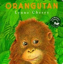 First Wonders of Nature: Orangutan : Orangutan