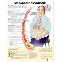 Metabolic Syndrome Anatomical Chart