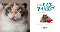 The Cat-phabet: A Guide to our Furry Overlords - From A to Z