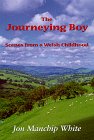 The Journeying Boy: Scenes from a Welsh Childhood