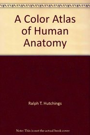 A Color Atlas of Human Anatomy