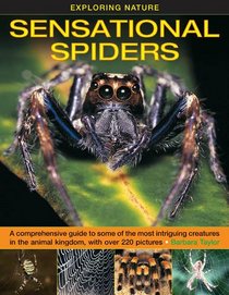 Exploring Nature: Sensational Spiders: A comprehensive guide to some of the most intriguing creatures in the animal kingdom, with over 220 pictures