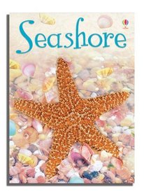 Seashore (Usborne Beginners)