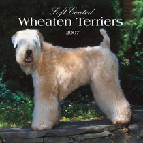 Soft Coated Wheaten Terriers 2007 Calendar