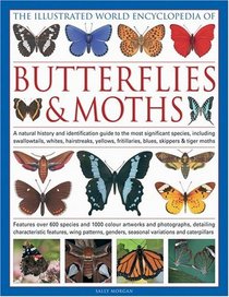 The Illustrated World Encyclopedia of Butterflies and Moths: A Natural History and Identification Guide (Illustrated World Encyclopaedi)