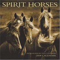 Spirit Horses 2008 Calendar