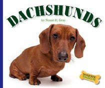 Dachshunds (Domestic Dogs)