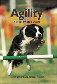 Agility: A Step-By-Step Guide
