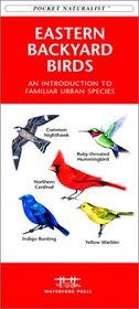 Eastern Backyard Birds: An Introduction to Familiar Urban Species (Pocket Naturalist - Waterford Press)