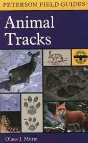 A Field Guide to Animal Tracks (Peterson Field Guides(R))