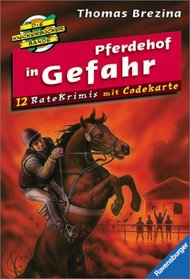 Die Knickerbockerbande- Ratekrimis 04. Pferdehof in Gefahr. 15 Ratekrimis mit Codekarte.