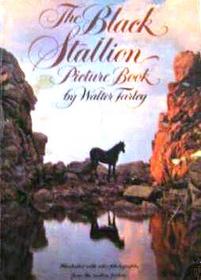 The Black Stallion Picture Book