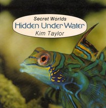 Hidden Underwater (Secret Worlds)