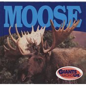 Moose (Giants Among Us.)