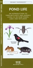 Pond Life, 2nd: An Introduction to Familiar Plants and Animals Living In or Near Ponds, Lakes and Wetlands